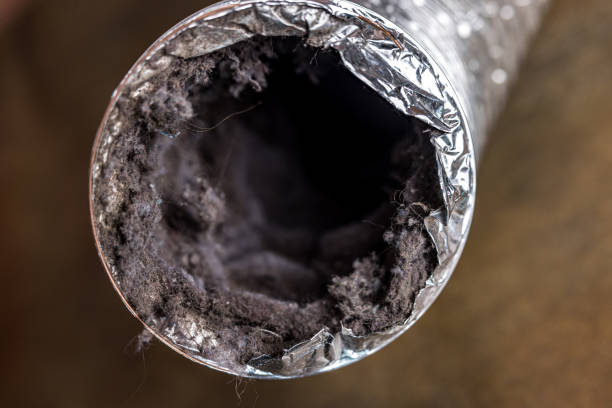 Best HVAC Maintenance and Cleaning  in Bargaintown, NJ